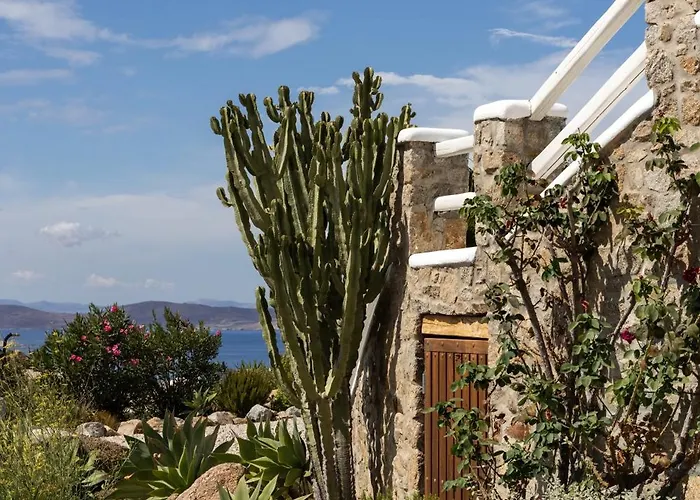 Alia Mykonos Psarrou