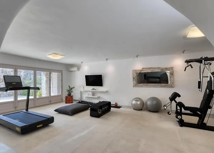 别墅 Alia Mykonos 普沙罗