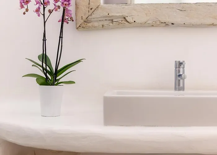 Alia Mykonos 别墅 普沙罗