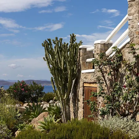 Alia Mykonos Ψαρού