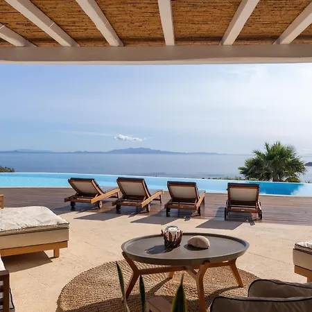 Βίλα Alia Mykonos *